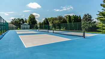 A pickleball court with a blue surface and white lines